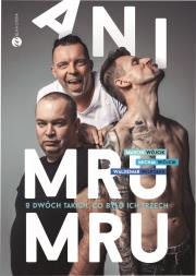 Okładka książki Ani Mru-Mru. O dwóch takich, co było ich trzech