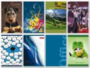 Opakowanie Brulion A5/80K/TW kratka 5 szt. mix