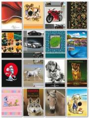 Opakowanie Brulion A6/96K/TW kratka 5 szt. mix