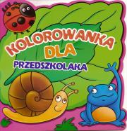 Kolorowanka dla przedszkolaka - Ślimak. Autor: praca zbiorowa. Dadada.pl Okładka książki Kolorowanka dla przedszkolaka - Ślimak