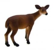 Opakowanie Łania wirginijska ANIMAL PLANET