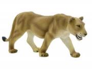 Opakowanie Lwica ANIMAL PLANET