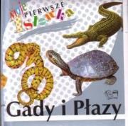 Okładka książki Moje pierwsze słówka - Gady i płazy