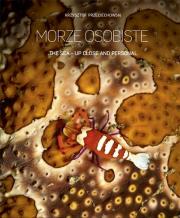 Okładka książki Morze osobiste wersja polsko angielska