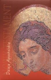 Opakowanie Nowy Testament. Dzieje Apostolskie