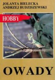 Owady. Autor: Andrzej Budziszewski, Jolanta Bielecka. Dadada.pl Okładka książki Owady