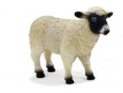 Opakowanie Owca czarnogłówka ANIMAL PLANET