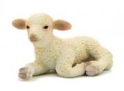 Opakowanie Owca w pozycji leżącej ANIMAL PLANET