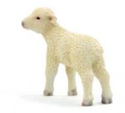 Opakowanie Owieczka ANIMAL PLANET