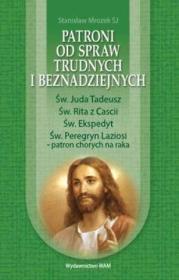 Okładka książki Patroni od spraw trudnych i beznadziejnych.