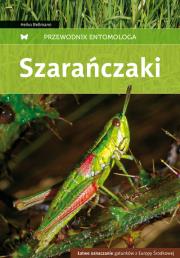 Przewodnik entomologa. Szarańczaki. Autor: Bellmann Heiko. Dadada.pl Okładka książki Przewodnik entomologa. Szarańczaki