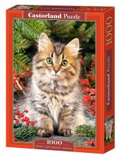 Opakowanie Puzzle 1000 Kotek CASTOR