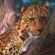 Puzzle 1111 Exclusive Leopard DINO. Wydawca: Dino Toys. Dadada.pl Opakowanie Puzzle 1111 Exclusive Leopard DINO