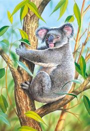 Okładka książki Puzzle 120 Koala CASTOR
