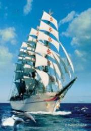 Opakowanie Puzzle 600 - Żaglówka Maximus MAXIM