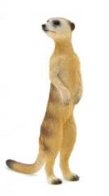 Opakowanie Surykatka ANIMAL PLANET