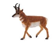 Opakowanie Widłoróg ANIMAL PLANET