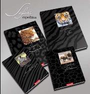 Opakowanie Zeszyt A5/60K/BR kratka 10 szt. Safari