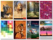 Opakowanie Zeszyt A5/80K/BR linia 10 szt. mix