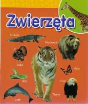 Zwierzęta. Wydawca: Welpol Adventure. Dadada.pl Opakowanie Zwierzęta