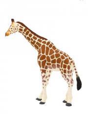 Opakowanie Żyrafa ANIMAL PLANET