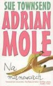 Okładka książki Adrian Mole. Na Manowcach