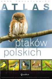 Atlas ptaków polskich. Autor: Przybyłowicz Anna. Dadada.pl Okładka książki Atlas ptaków polskich