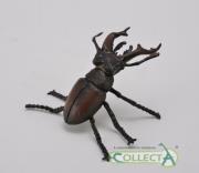 Opakowanie Jelonek rogacz