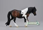 Opakowanie Klacz rasy Dartmoor hill - gniada