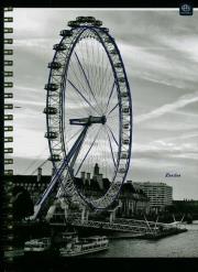 Opakowanie Kołobrulion A5/100K kratka (5szt)