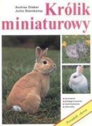 Królik miniaturowy. Autor: Dieker Andrea. Dadada.pl Okładka książki Królik miniaturowy