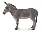 Okładka książki OSIOŁ AFRYKAŃSKI (DZIKIE - L)