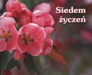 Perełka 026 - Siedem życzeń. Autor: Opracowanie zbiorowe. Dadada.pl Okładka książki Perełka 026 - Siedem życzeń