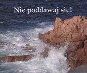 Perełka 118 - Nie poddawaj się!. Autor: Opracowanie zbiorowe. Dadada.pl Okładka książki Perełka 118 - Nie poddawaj się!