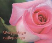 Perełka 123  - Wszystkiego najlepszego.. Autor: Opracowanie zbiorowe. Dadada.pl Okładka książki Perełka 123  - Wszystkiego najlepszego.