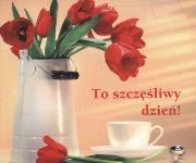 Perełka 134 - To szczęśliwy dzień!. Autor: Opracowanie zbiorowe. Dadada.pl Okładka książki Perełka 134 - To szczęśliwy dzień!