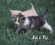 Perełka 137 - Ja i Ty.. Autor: Opracowanie zbiorowe. Dadada.pl Okładka książki Perełka 137 - Ja i Ty.