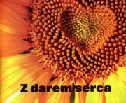 Perełka 144 - Z darem serca. Autor:   Praca zbiorowa. Dadada.pl Okładka książki Perełka 144 - Z darem serca