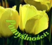 Perełka 199 - Pomyślności!. Autor: Opracowanie zbiorowe. Dadada.pl Okładka książki Perełka 199 - Pomyślności!