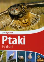 Piękna Polska Ptaki Polski wyd. II Dragon. Autor: Przybyłowicz Anna, Przybyłowicz Łukasz. Dadada.pl Okładka książki Piękna Polska Ptaki Polski wyd. II Dragon