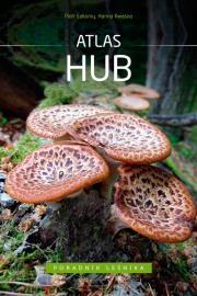 Poradnik leśnika. Atlas hub. Autor: Łakomy Piotr, Kwaśna Hanna. Dadada.pl Okładka książki Poradnik leśnika. Atlas hub