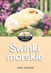 Okładka książki Poznaj .... - Świnki morskie