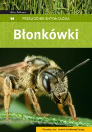 Przewodnik entomologa. Błonkówki. Autor: Bellmann Heiko. Dadada.pl Okładka książki Przewodnik entomologa. Błonkówki