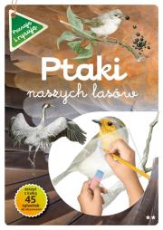 Ptaki naszych lasów Część 2. Autor: Katarzyna Kopiec-Sekieta, tekst: Grażyna Maternic. Dadada.pl Okładka książki Ptaki naszych lasów Część 2