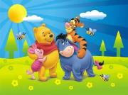 Opakowanie Puzzle 24 Kubuś Puchatek i wiosna DINO