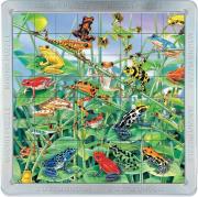 Opakowanie Puzzle Magna 64 Żaby PIATNIK
