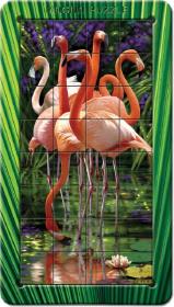 Opakowanie Puzzle Portret 32 Flamingi PIATNIK