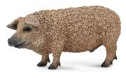 Okładka książki Świnia węgierska Mangalica