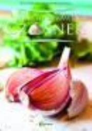 Okładka książki Warto uprawiać czosnek  HORTPRESS