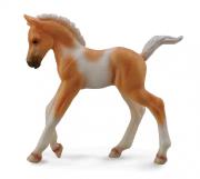 Okładka książki Źrebię idące Pinto Palomino